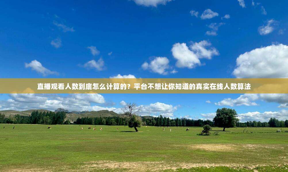 直播观看人数到底怎么计算的？平台不想让你知道的真实在线人数算法