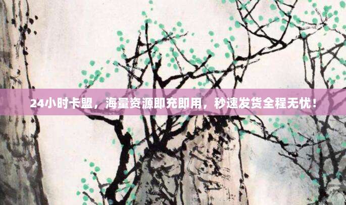 24小时卡盟，海量资源即充即用，秒速发货全程无忧！