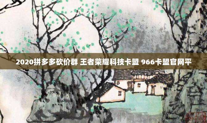 2020拼多多砍价群 王者荣耀科技卡盟 966卡盟官网平