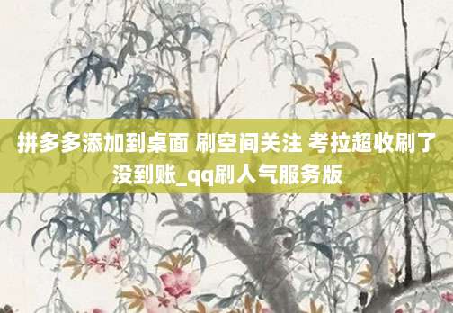 拼多多添加到桌面 刷空间关注 考拉超收刷了没到账_qq刷人气服务版
