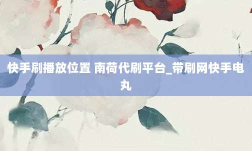 快手刷播放位置 南荷代刷平台_带刷网快手电丸
