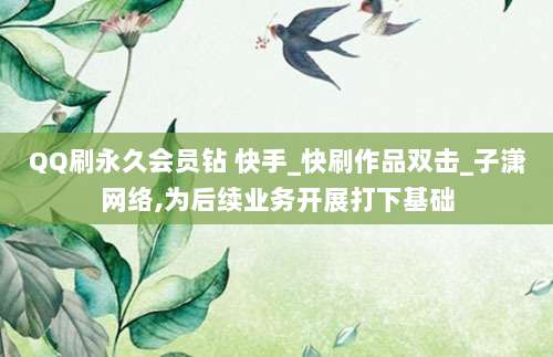 QQ刷永久会员钻 快手_快刷作品双击_子潇网络,为后续业务开展打下基础